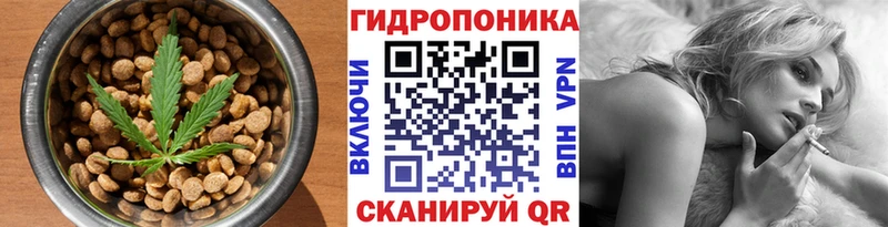 продажа наркотиков  KRAKEN зеркало  Cannafood марихуана  Мураши 
