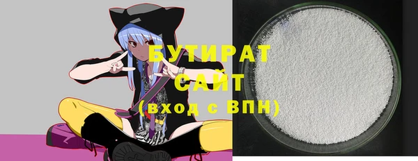 стаф Ельня