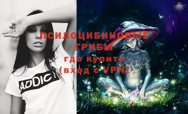 дурь Армянск
